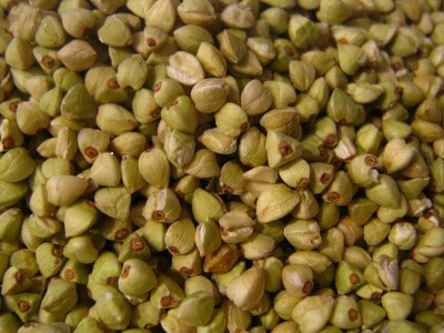 O-trigo-sarraceno-uma-alternativa-sem-gluten3