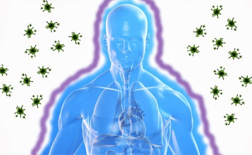 Sistema-inmunologico-2-500x307