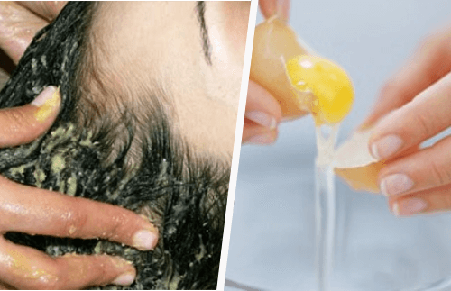 Descubra como lavar o cabelo com gema de ovo Descubra como lavar o cabelo com gema de ovo