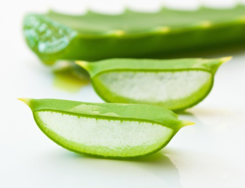 A aloe vera pode ser um dos remédios naturais para desinchar