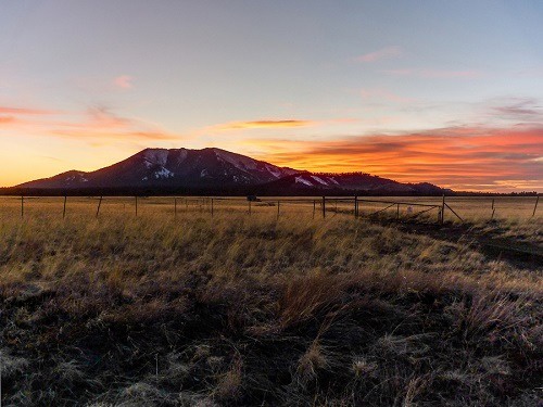 Viver no campo auxilia no pensamento criativo