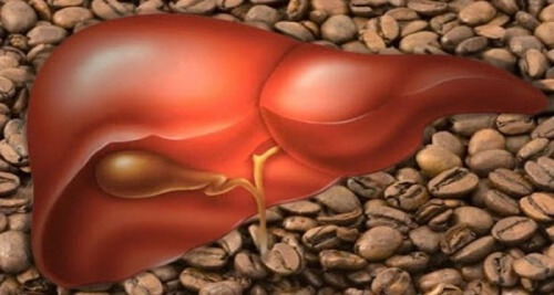 O que três xícaras de café por dia podem fazer pelo seu fígado