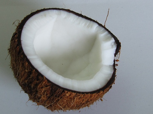 coco ajuda a evitar o hipotireoidismo