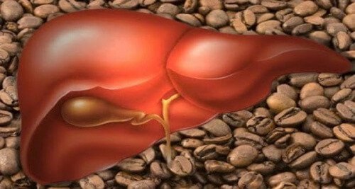 O que três xícaras de café por dia podem fazer pelo seu fígado