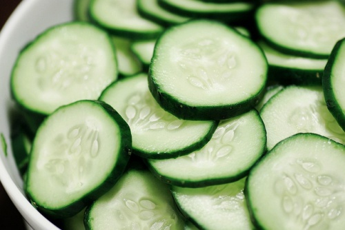 pepino-Stacey-Spensley-500x334