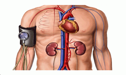 Não beber água suficiente ajuda no descontrole da pressão arterial