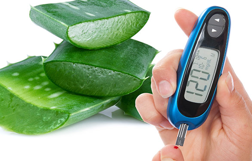 Tratar o diabetes com aloe vera