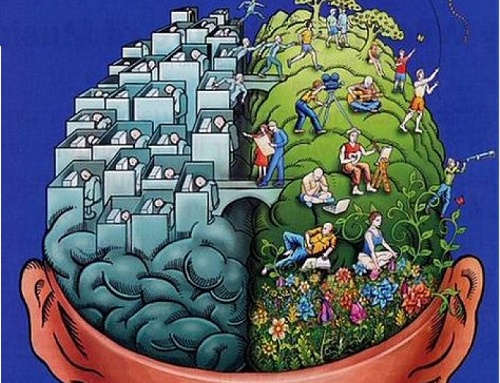 Diferenças no cérebro do destro ou canhoto