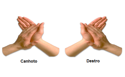 Você é destro ou canhoto? Saiba o que significa a sua lateralidade dominante Você é destro ou canhoto? Saiba o que significa a sua lateralidade dominante