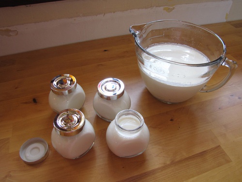 Iogurte repovoa a flora intestinal