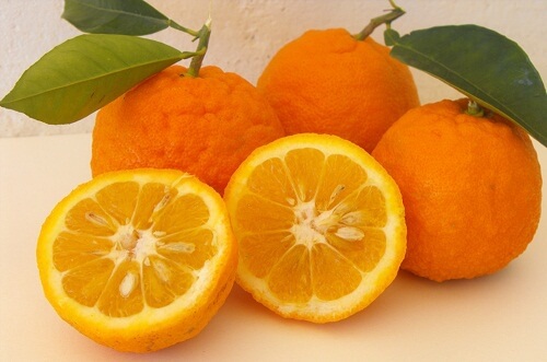 Dieta da laranja para emagrecer e ficar saudável