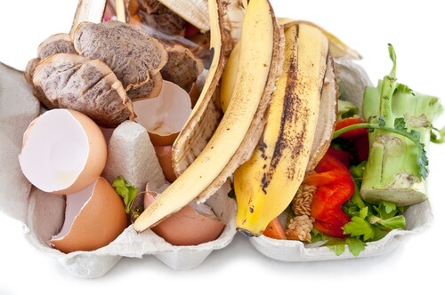 casca_de_banana_no_lar