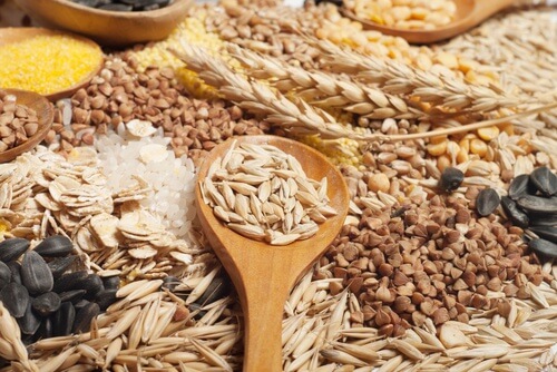 Cereais de grão completo para complementar as dietas