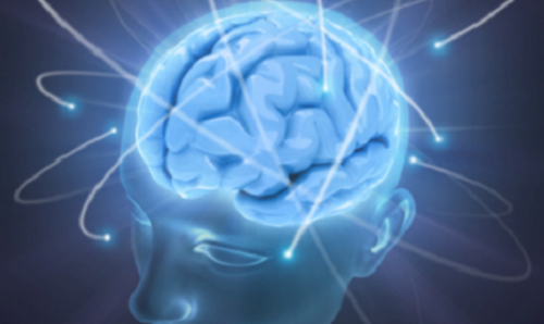 cerebro sã