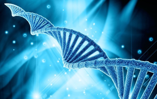 genetica