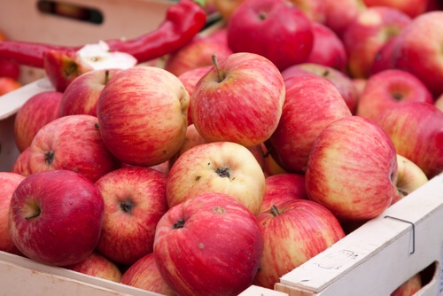 maçãs são ótimas Frutas anti-inflamatórias