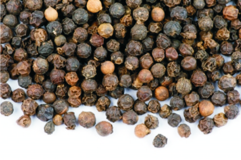 A pimenta pode ser um dos substitutos do sal e gordura