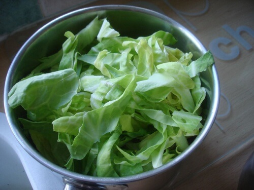 repolho para diminuir a acidez