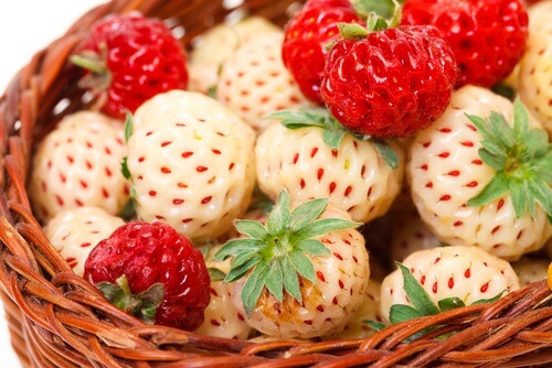 pineberry