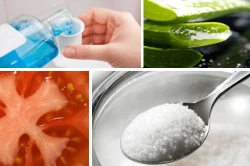 8 remédios caseiros que realmente funcionam 8 remédios caseiros que realmente funcionam