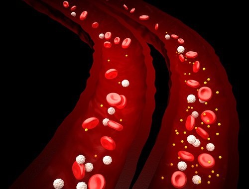 Sangue-e-demência-500x380