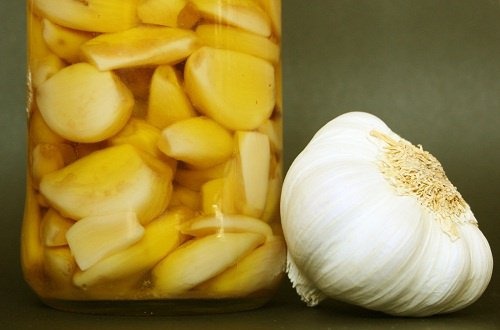 Água de alho para eliminar as formigas