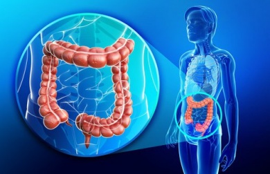 Batida anti-inflamatória e reparadora do intestino