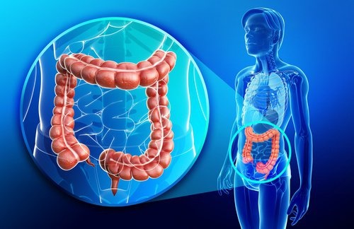 Batida anti-inflamatória e reparadora do intestino