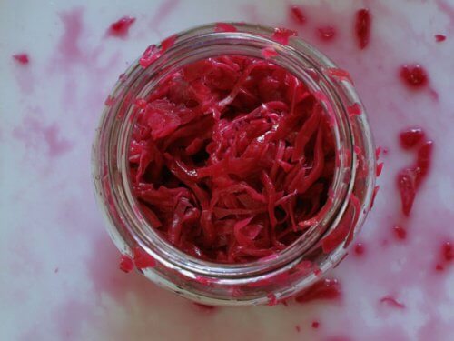 Chucrute repovoa a flora intestinal