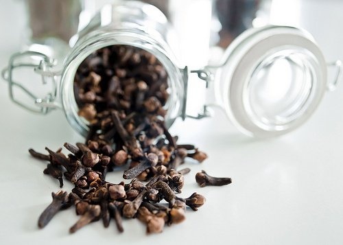 Cravo para acabar com as moscas