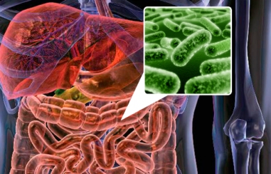 5 alimentos para repovoar a flora intestinal
