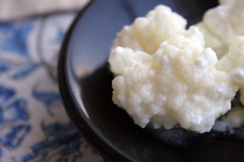 Kefir para repovoar a flora intestinal