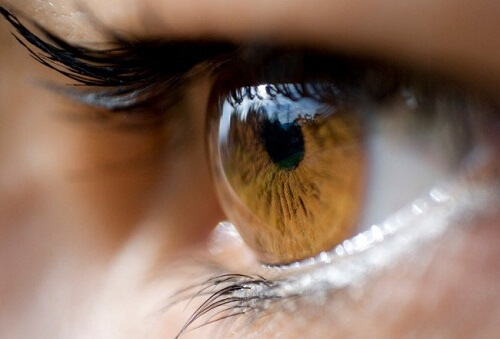 A conexão dos olhos com o cérebro