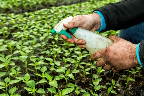 pesticidas-e-tireoide
