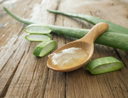gel de pepino e babosa