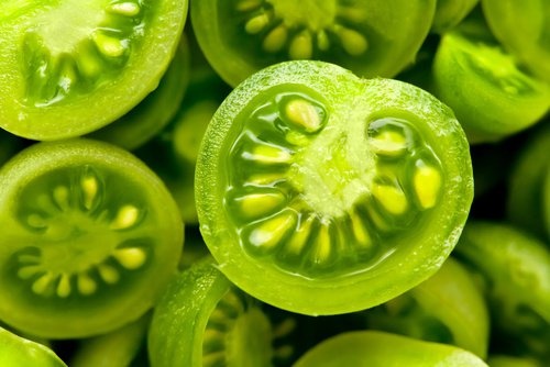 Tomates melhoram a dor das varizes