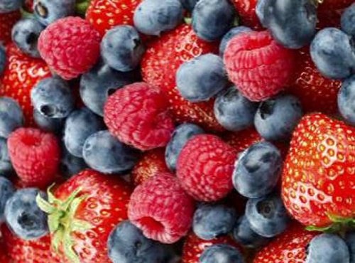 Alimentos ricos em vitamina C