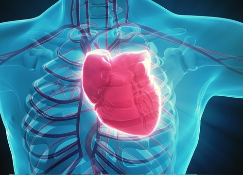 Energéticos como o RedBull podem prejudicar o coração