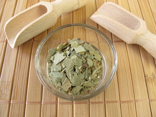 Eucalipto ajuda a aliviar a garganta ressecada