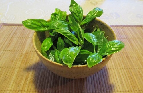 alimentos anti-inflamatórios