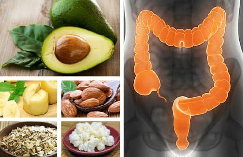 6 alimentos recomendados para pessoas que têm Síndrome do Intestino Irritável