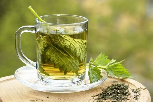 chá de urtiga para aliviar a dor
