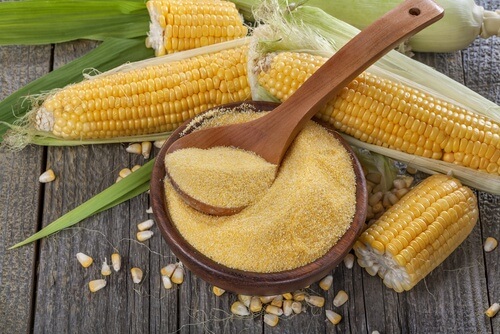 O milho é um dos alimentos que mais têm toxinas