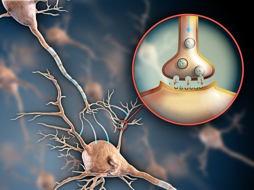 Sistema-nervoso-e-fibromialgia