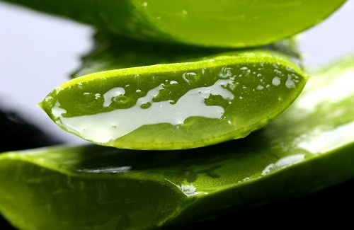 aloe vera para eliminar verrugas