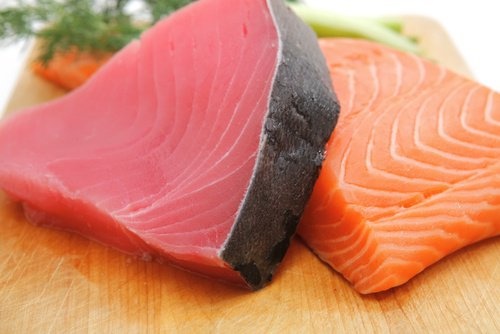 Peixe-atum-vermelho