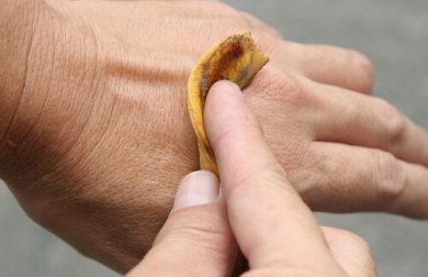 Usos incríveis da casca de algumas frutas. Descubra-os!