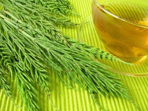 Cavalinha-para-prisao-de-ventre
