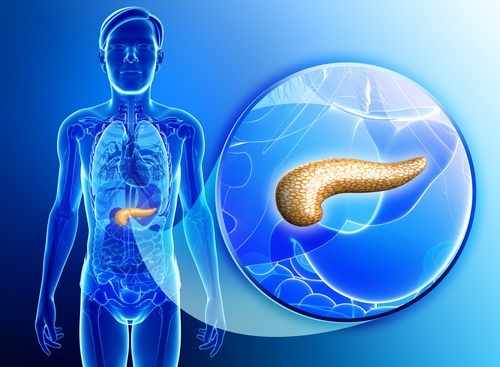 Como-depurar-o-pancreas
