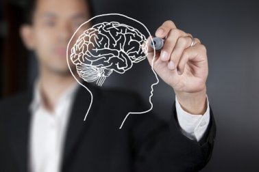 Quais são as partes do cérebro e suas principais funções?